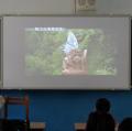 DSC00815.JPG
