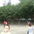 P1030980.JPG