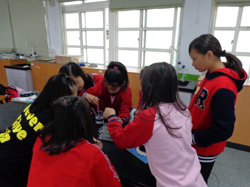 六信自然3-2-2自製指示劑-實驗DSC00520.JPG