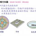 六信自然4-1指北針和地磁-講義06.jpg