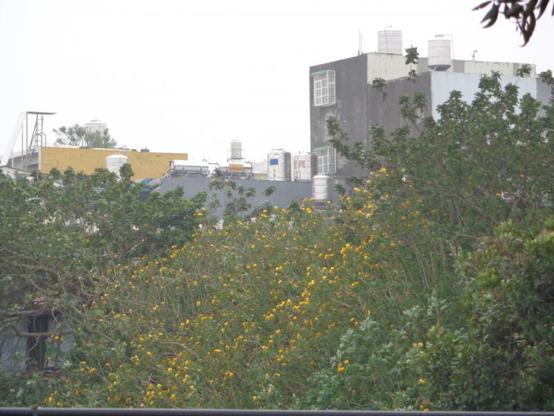 DSC00763
