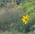 DSC00764