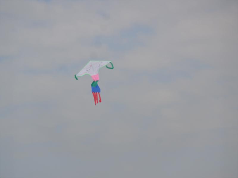 DSC00451