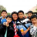 tn_IMG_0050