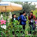 tn_IMG_0051