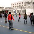 tn_IMG_0113 (5)