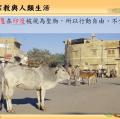 六忠-社會1-1宗教與人類生活 -重點講義24