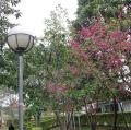 DSC01014
