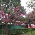 DSC01015