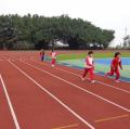 DSC00518.JPG