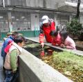 DSCN0149
