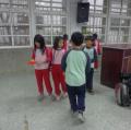 DSC00517