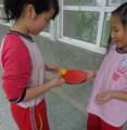 DSC00518