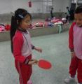 DSC00520