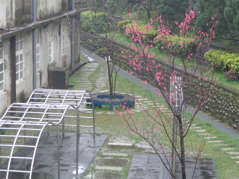 DSC02500