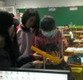 IMAG0305.jpg