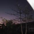 山豐晨曦IMG_1257