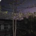 山豐晨曦IMG_1262