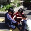 DSC06254.JPG
