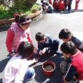 DSC06255.JPG
