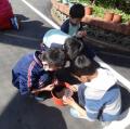 DSC06258.JPG