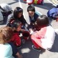 DSC06260.JPG