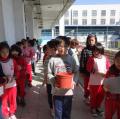 DSC06247.JPG
