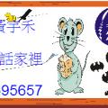 stu106-4306-4306黃宇禾-0227.JPG