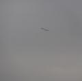 DSC00908