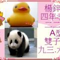 stu122-4222-4222-楊鋅庭0227.JPG