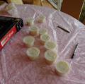 DSC00498.JPG