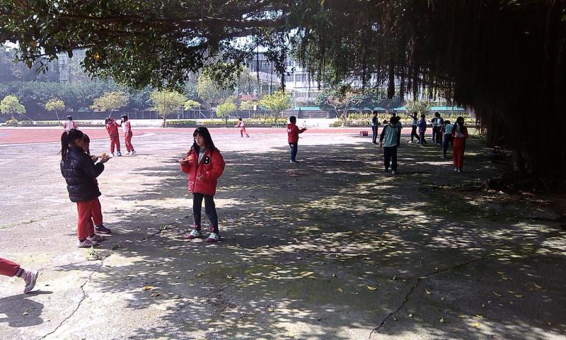 榕樹下的運動員（桌球）︿︿＂