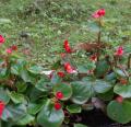 DSC02284.JPG