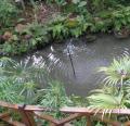 DSC02277.JPG