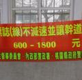 DSC02215.JPG