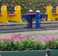 DSC02272.JPG