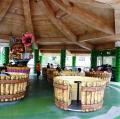 DSC04019