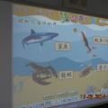 DSCN4876.JPG