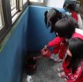 DSC06306.JPG