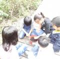 DSC06358.JPG