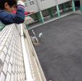 DSC02113.JPG