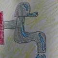 DSC01841.JPG