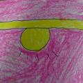 DSC01839.JPG