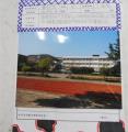 DSCN0254