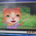 DSCN4988.JPG