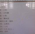 DSC06402.JPG