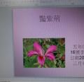 五仁：PPT檔製作