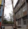 DSC03028.JPG