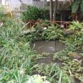 DSC03072.JPG