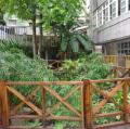 DSC03074.JPG